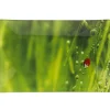 Gifi Assiette plate rectangulaire verte design coccinelle