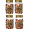 Gifi Bocal à stériliser 500 ml x 4 Hot