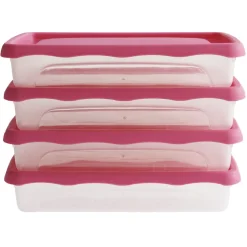 Gifi Boîte de conservation alimentaire 0,8L x4