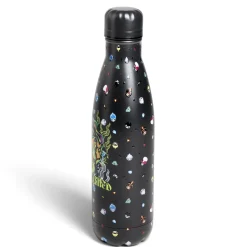 Gifi Bouteille isotherme Disney Villains inox 500ml - 4 modèles New