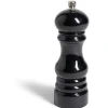 Gifi Moulin à poivre en plastique noir H17,5cm