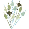 Gifi Paille cactus x20