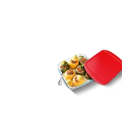 Gifi Plat de cuisson carré en verre avec couvercle en plastique 1 L Outlet