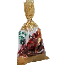 Gifi Sachet en plastique x10 New