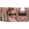 Gifi Sous bock papier imprimés x10